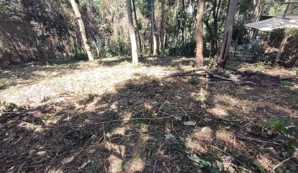 IMG_20250315_133607567