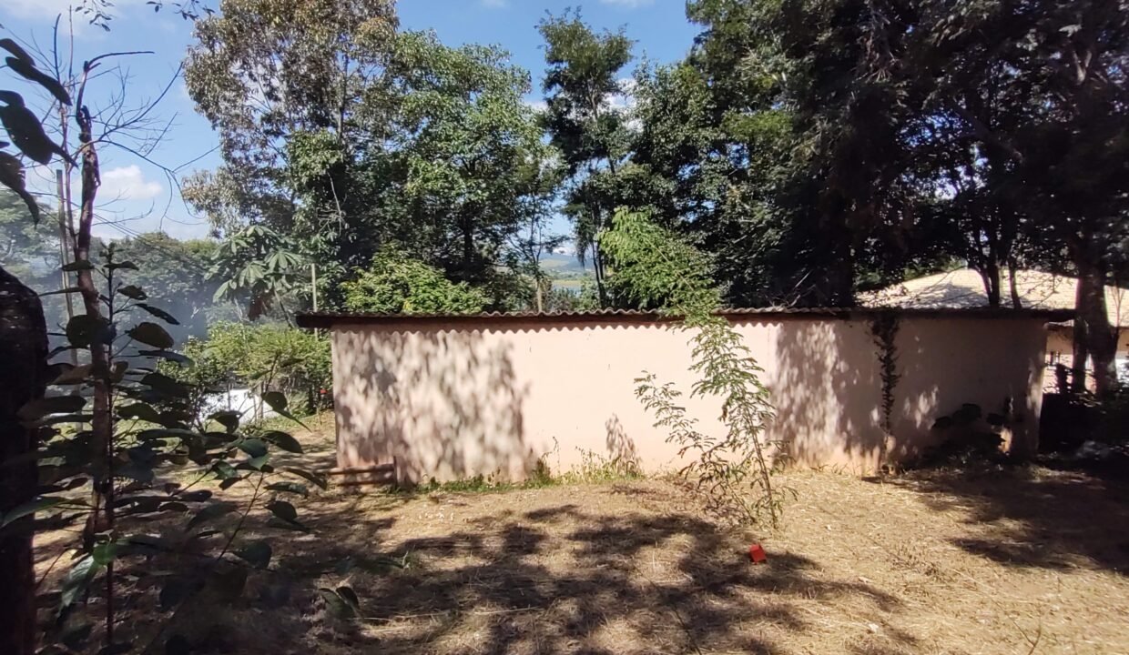 IMG_20250315_133954990