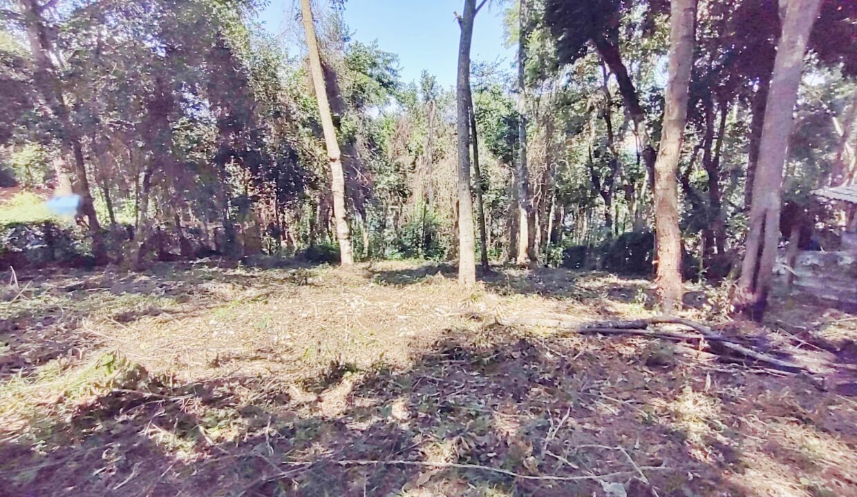 Terreno a venda represa jaguari Joanópolis SP pé na água acesso direto a água (10)