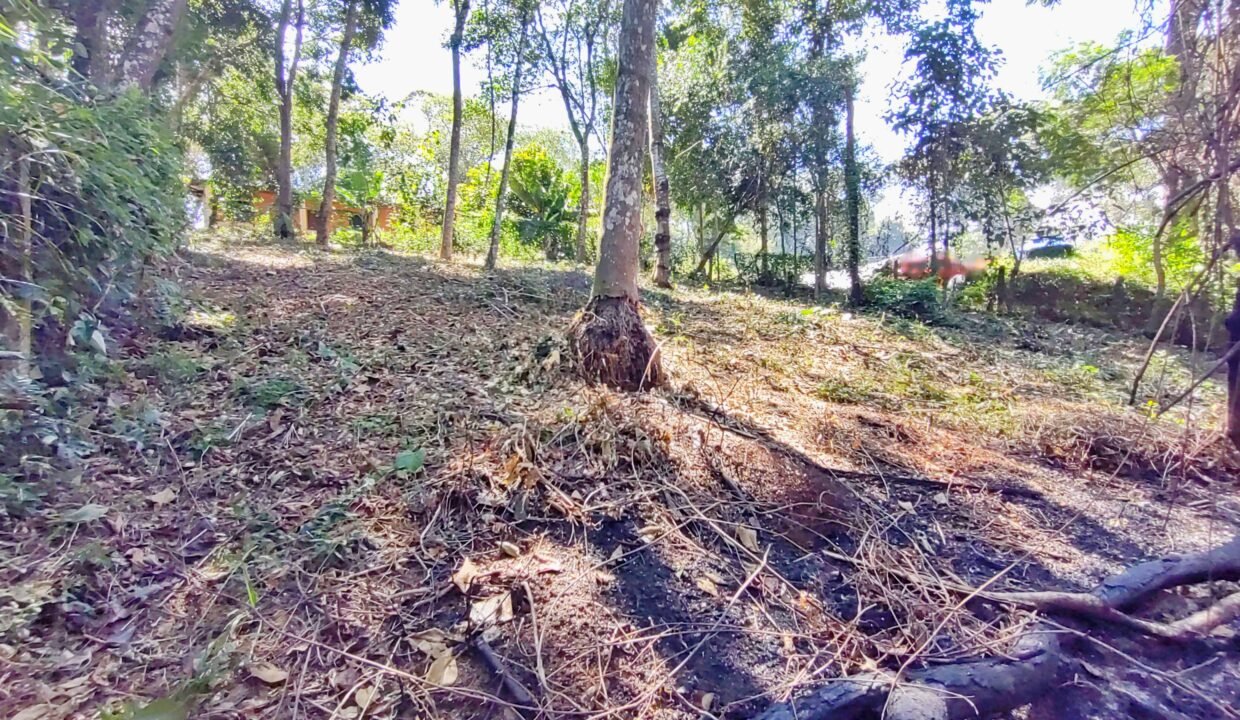Terreno a venda represa jaguari Joanópolis SP pé na água acesso direto a água (11)