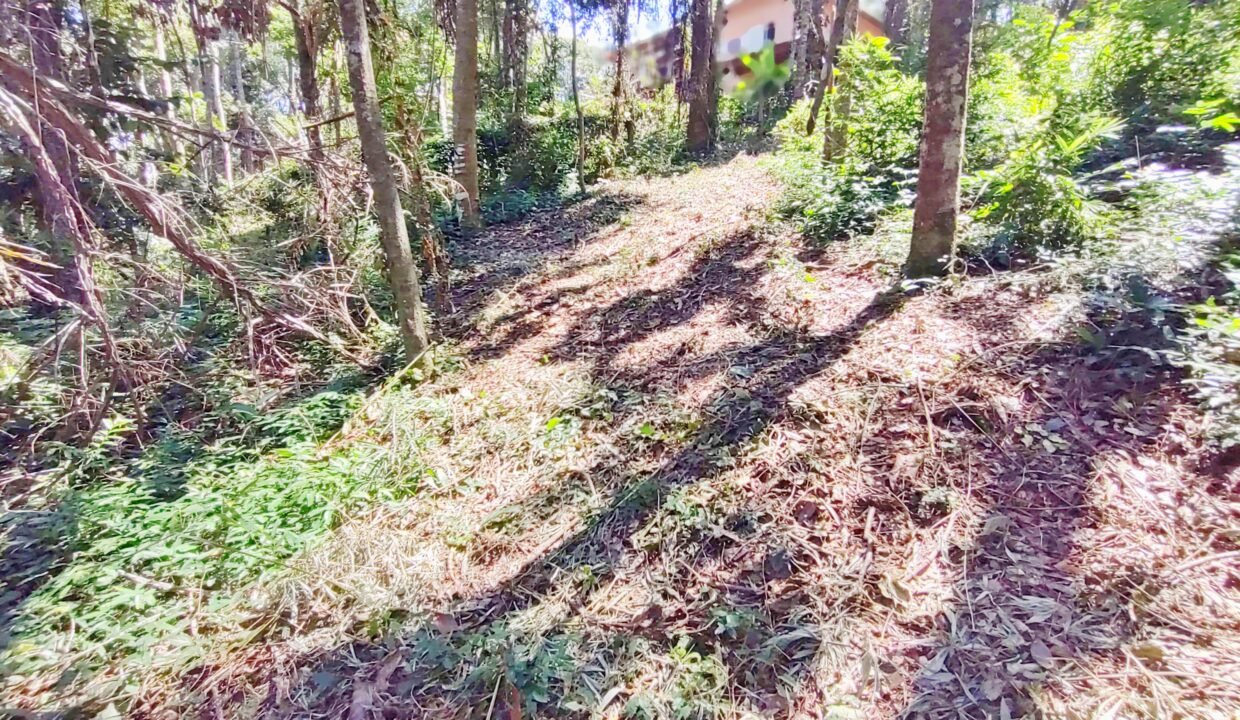 Terreno a venda represa jaguari Joanópolis SP pé na água acesso direto a água (12)