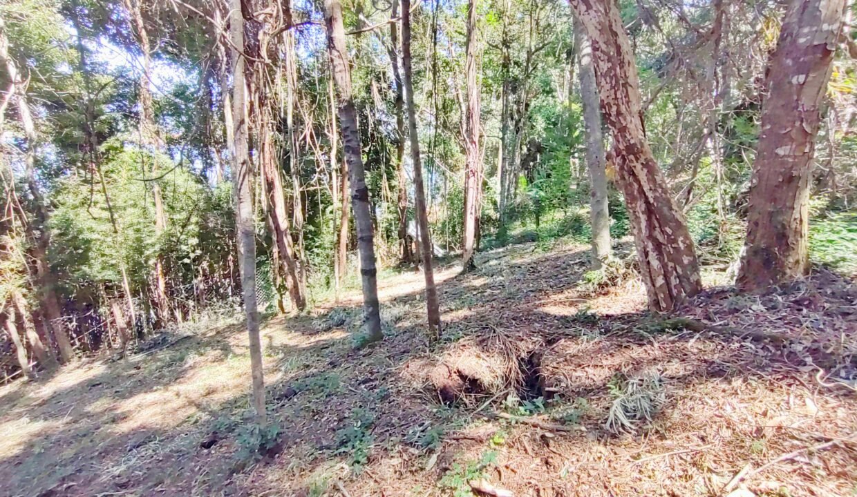 Terreno a venda represa jaguari Joanópolis SP pé na água acesso direto a água (14)