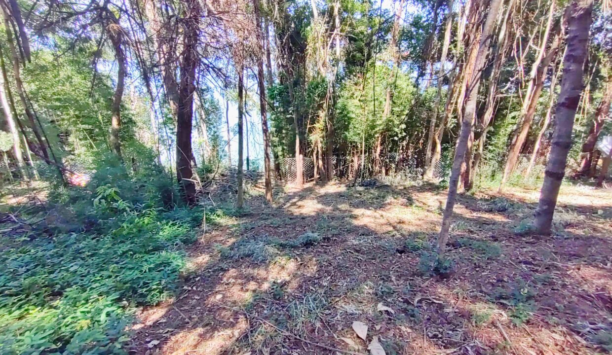 Terreno a venda represa jaguari Joanópolis SP pé na água acesso direto a água (15)