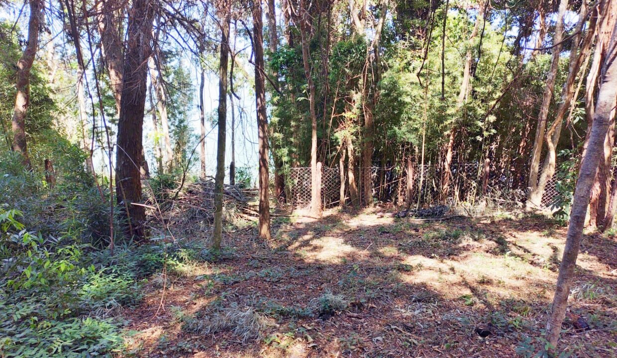 Terreno a venda represa jaguari Joanópolis SP pé na água acesso direto a água (16)