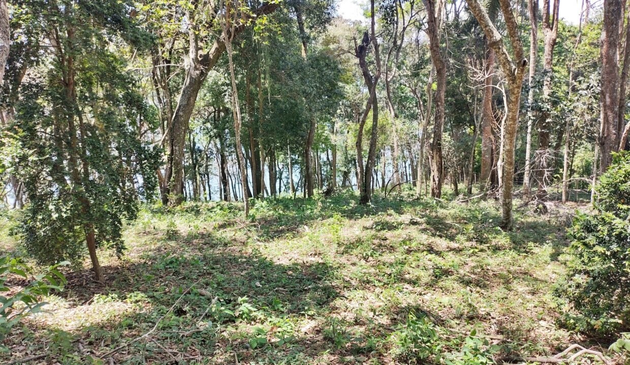 Terreno pé na água 4.600m² represa jaguari joanópolis SP interior são paulo (10)
