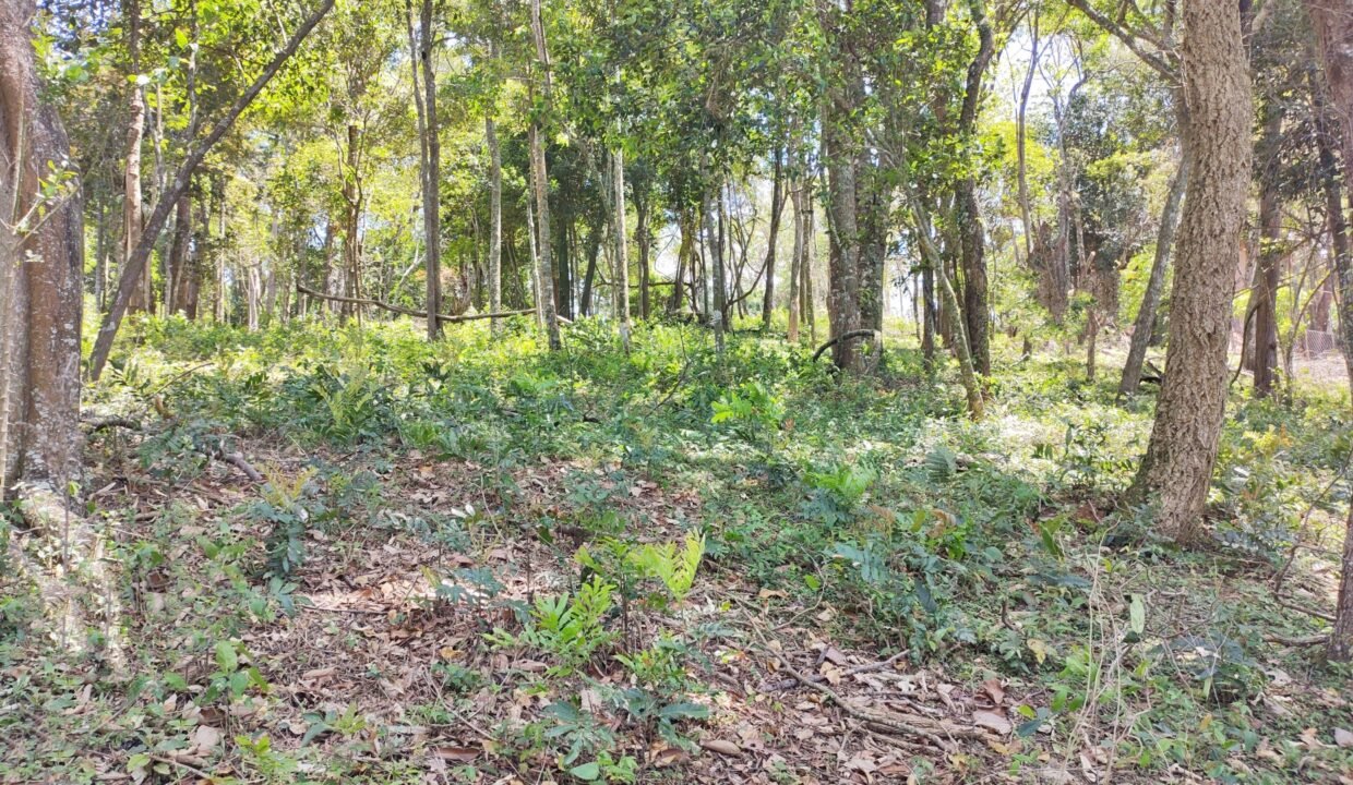 Terreno pé na água 4.600m² represa jaguari joanópolis SP interior são paulo (12)