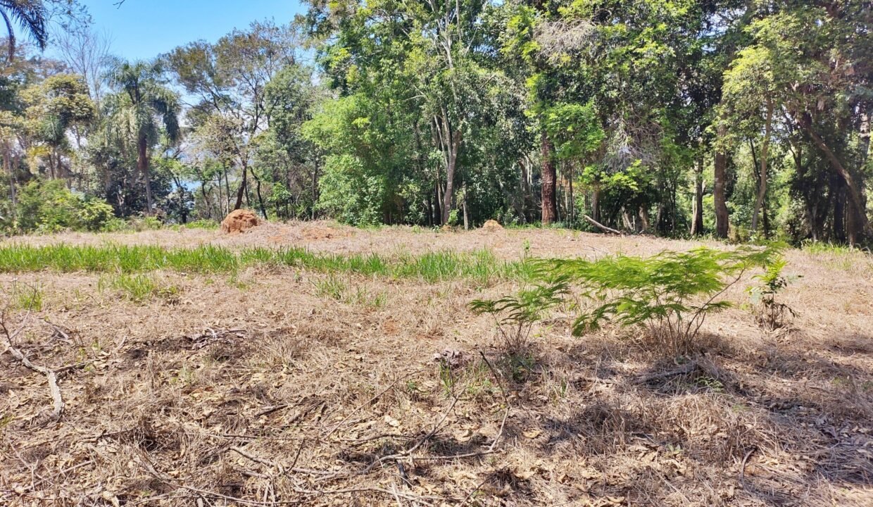 Terreno pé na água 4.600m² represa jaguari joanópolis SP interior são paulo (13)