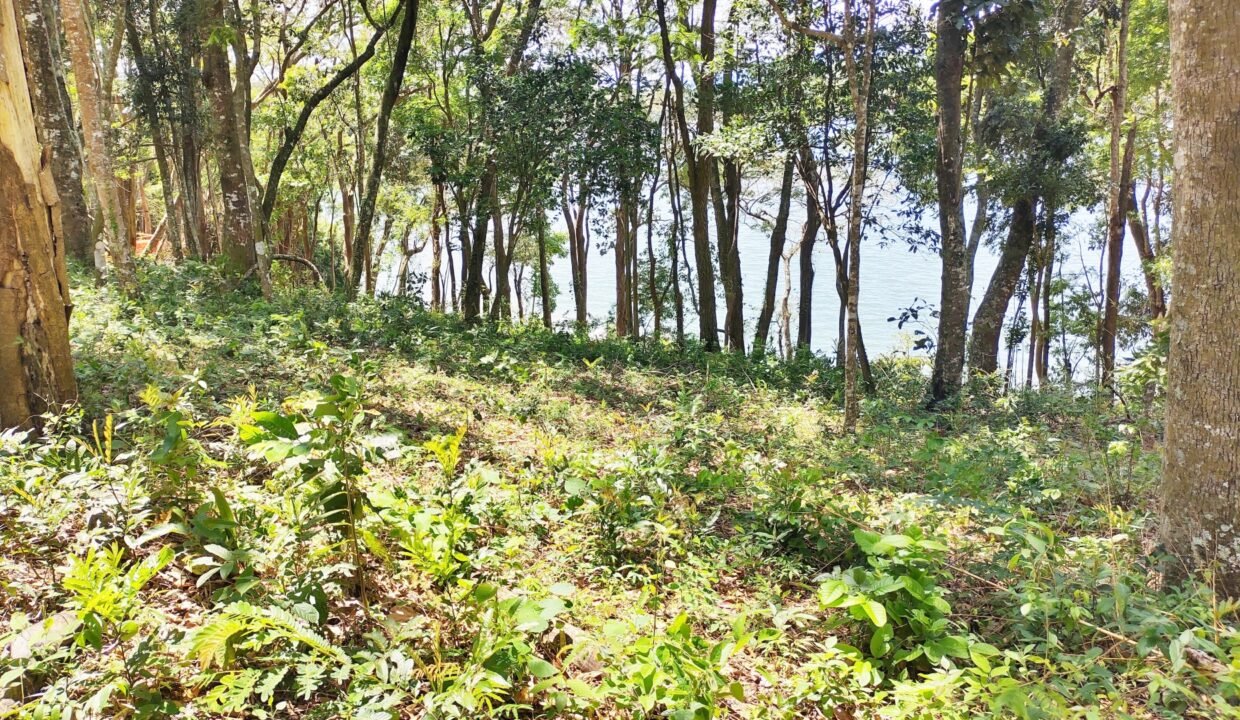 Terreno pé na água 4.600m² represa jaguari joanópolis SP interior são paulo (15)