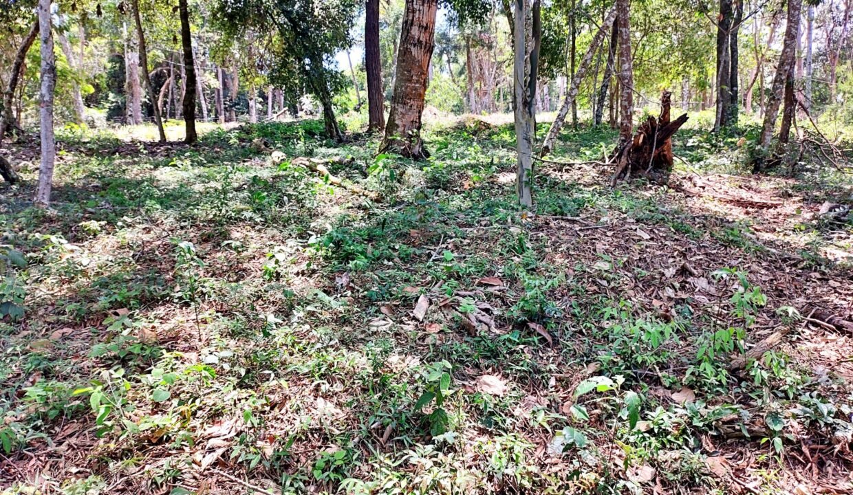 Terreno pé na água 4.600m² represa jaguari joanópolis SP interior são paulo (18)