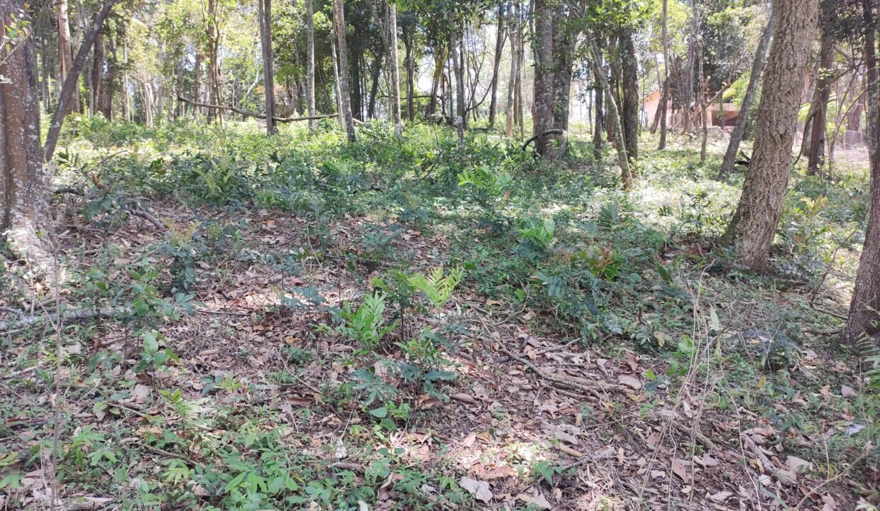 Terreno pé na água 4.600m² represa jaguari joanópolis SP interior são paulo (20)