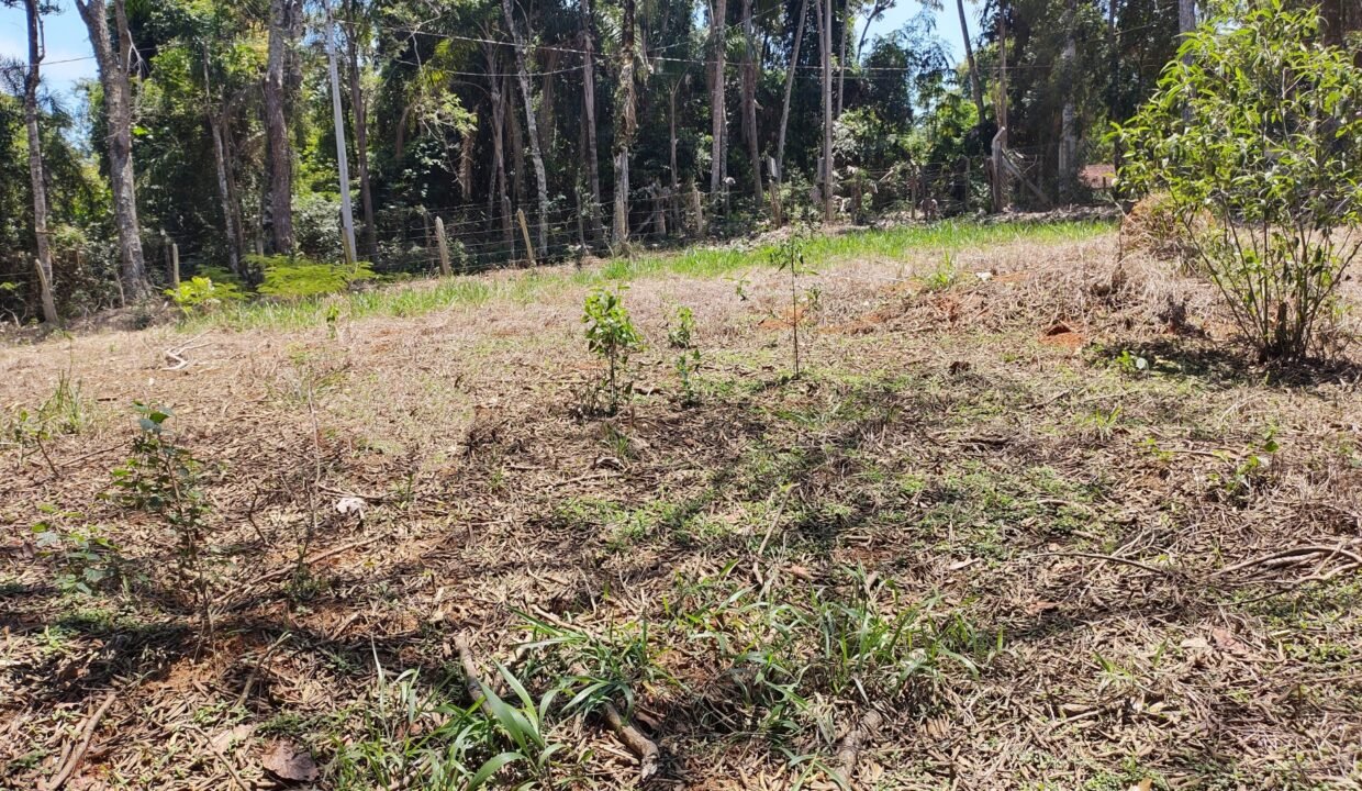 Terreno pé na água 4.600m² represa jaguari joanópolis SP interior são paulo (5)