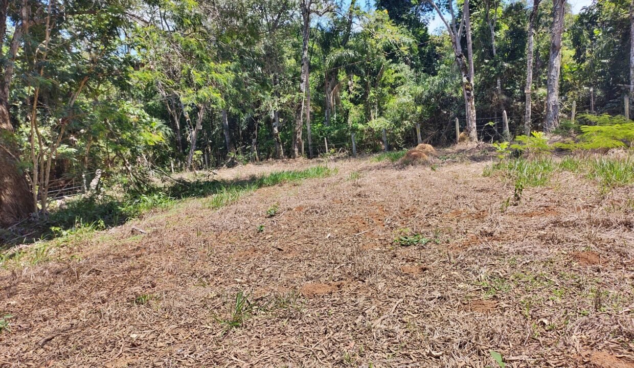 Terreno pé na água 4.600m² represa jaguari joanópolis SP interior são paulo (8)