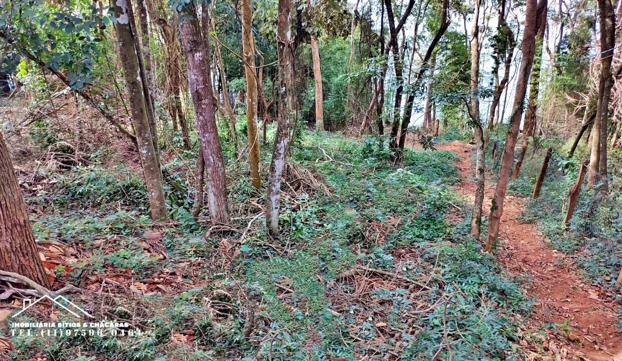 frente exclusiva para a represa Jaguari em Joanópolis-SP (12)